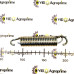Пружина натяжна Kverneland (Квернелнд) AC820823