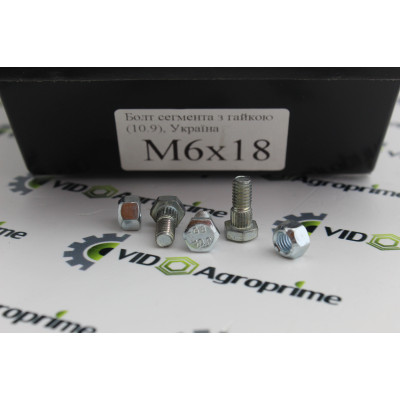 Болт сегмента з гайкою М6x18 GB