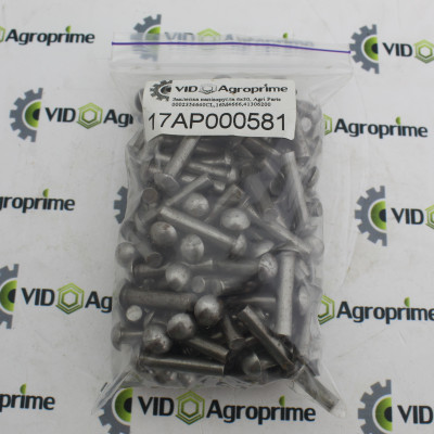 Заклепка напівкругла 6х30, Agri Parts 17AP000581 / 0002354640CL / 16M4666 / 41306200